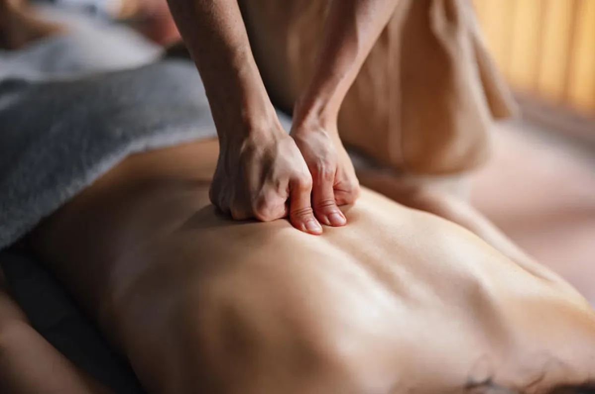 Shiatsu Massage